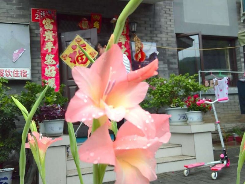 北京慧智民俗