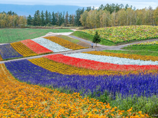 豪华北海道游_北海道游旅游团_北海道高端旅行