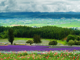 豪华北海道游_北海道游旅游团_北海道高端旅行