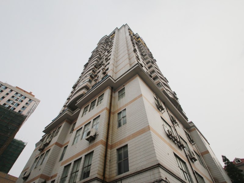 上海琴子与小麦的小窝
