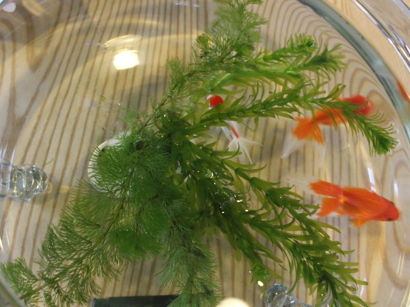 健身房