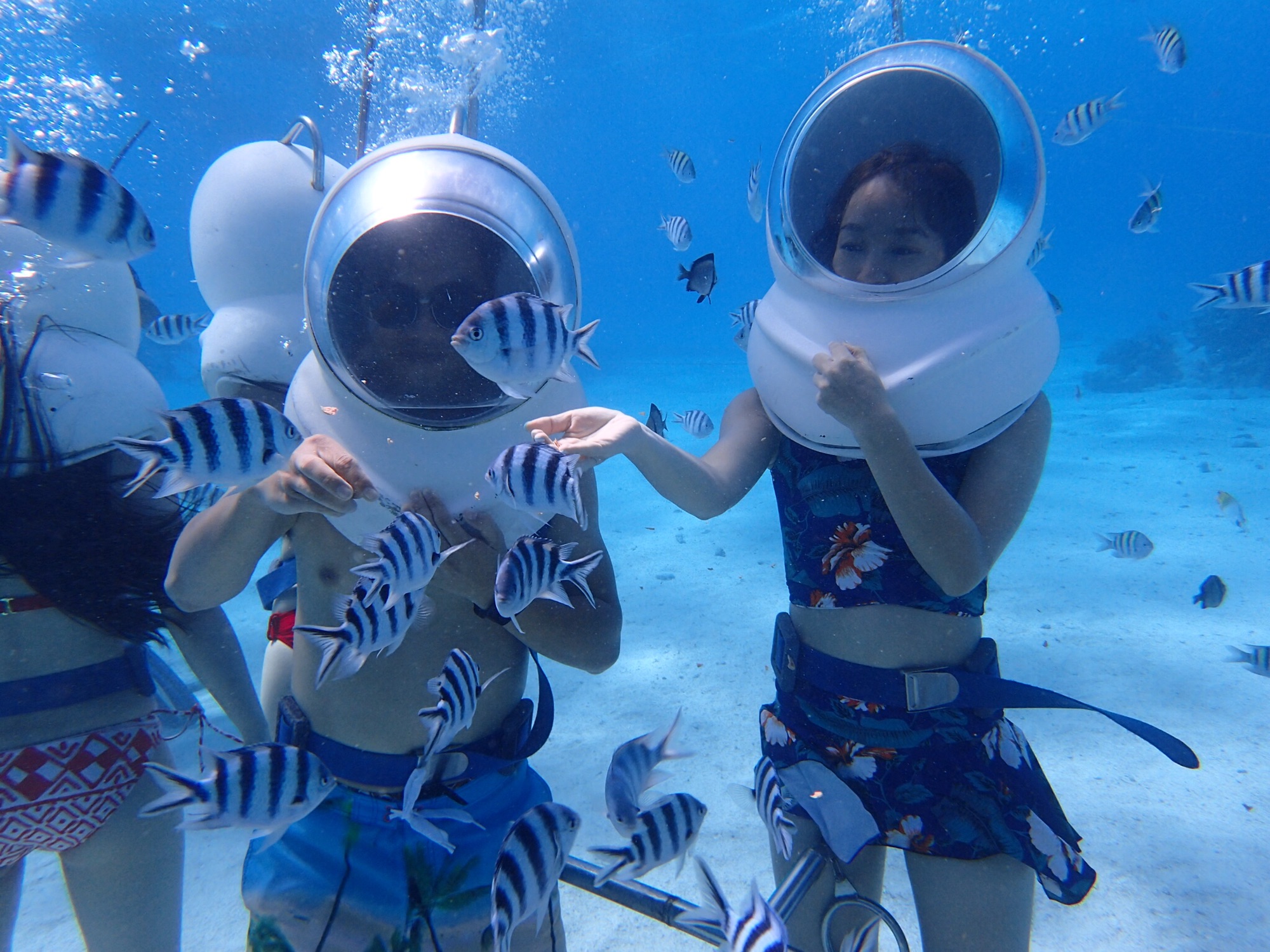 美国塞班岛5-6日游 广州直飞,海边五星A型酒店