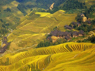 春节期间桂林自助游_赴桂林旅游_桂林出境游