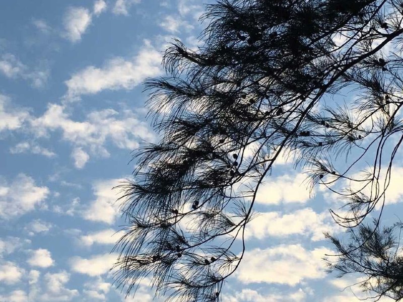 厦门悦海小屋客栈