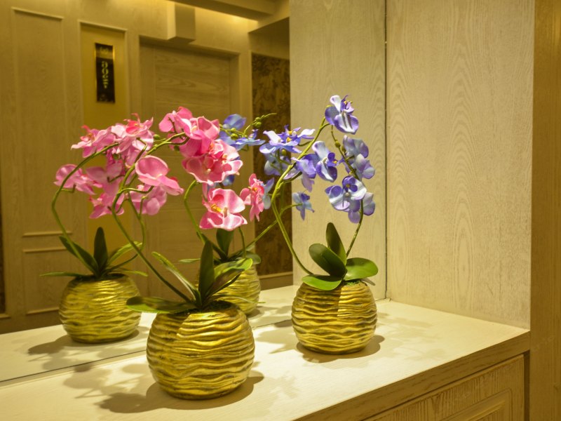 hotelPic