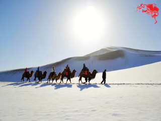 嘉峪關(guān)2人旅游需要多少錢_嘉峪關(guān)游 旅行團_嘉峪關(guān)報團旅游多少錢