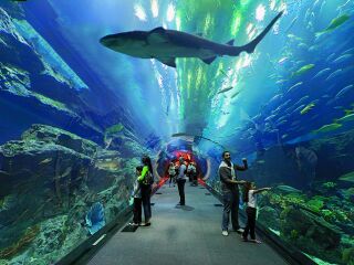 迪拜7日跟团游_6月底到迪拜旅游_迪拜10日游路线