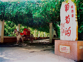 春节新疆旅行团_春节前去新疆旅游_新疆旅游行程安排
