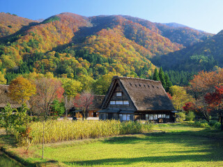 旅行团日本旅游_日本旅游不跟团_去日本7天游