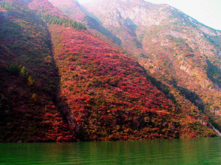 巫山红叶皇家公主系列环湖4日游>乘公主游轮 看巫山红叶 重庆接送站图片
