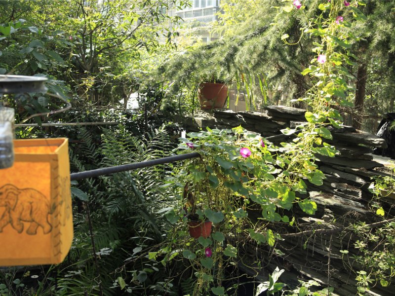 初见青年旅舍(成都桐梓林店)
