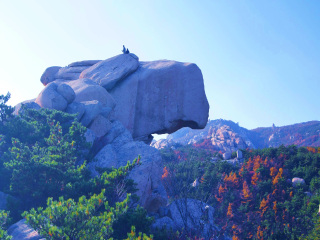青島半自由行_青島自由行旅游團(tuán)_到青島旅游多少錢(qián)