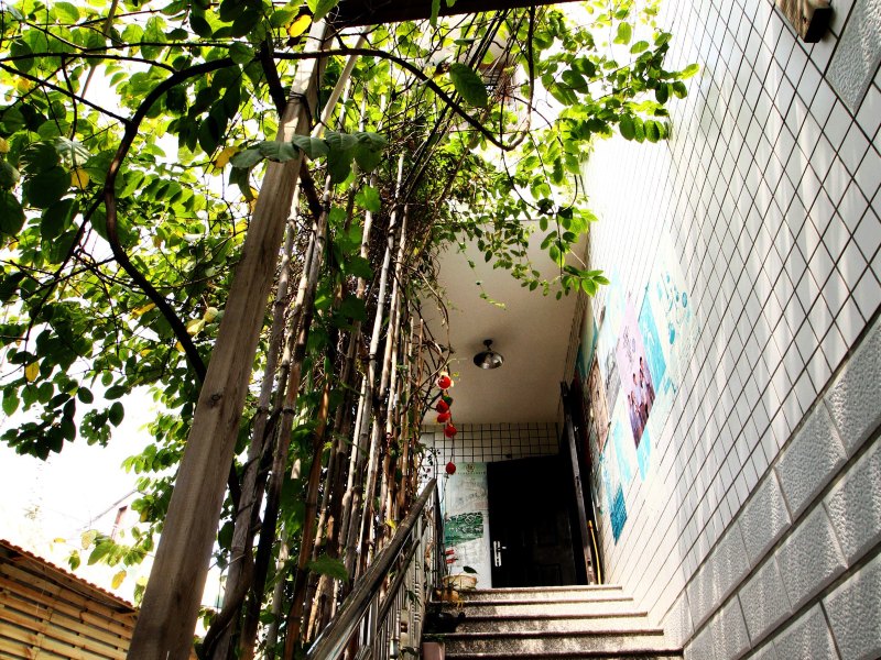 厦门曾厝垵六月客栈