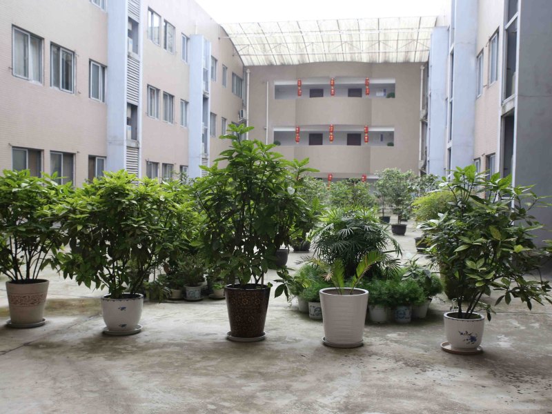 成都红旗宾馆(电子科大)
