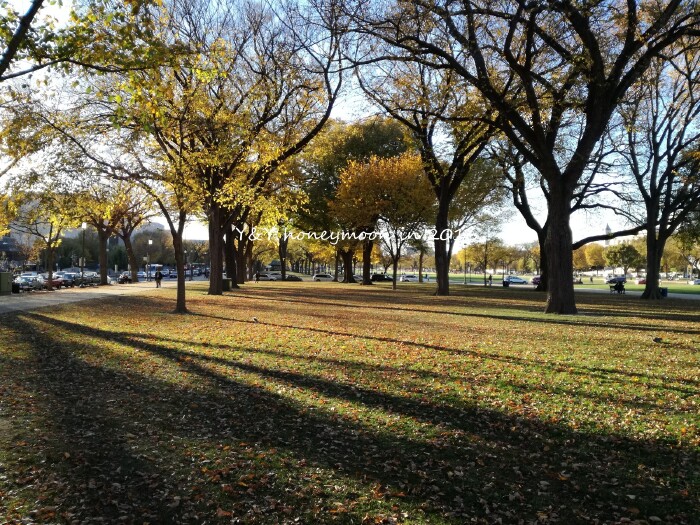 【首发Y&Y 蜜月游】从纽约的深秋到夏威夷的