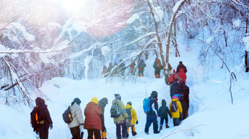 八人口技唱林海雪原_林海雪原图片(3)