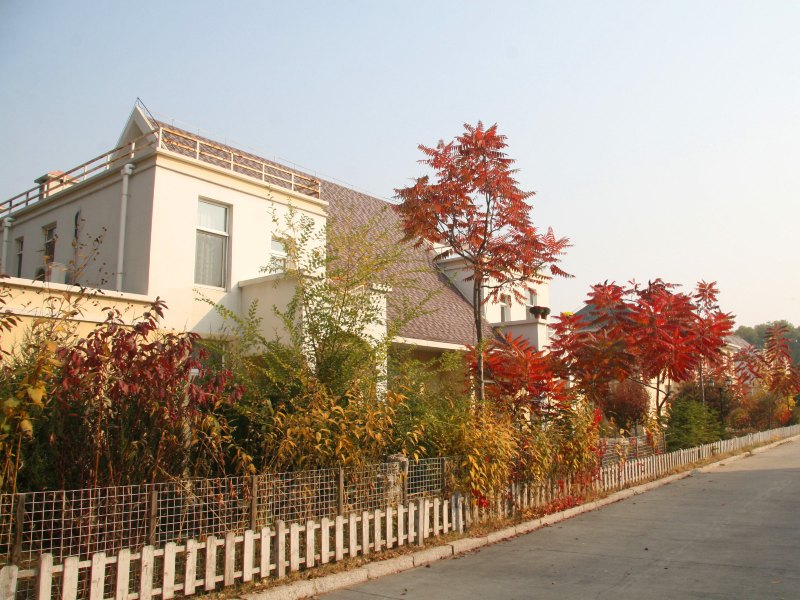 酒店大堂