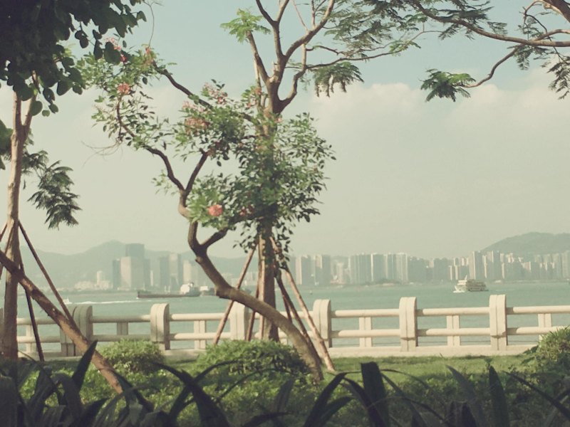 厦门悠闲小屋客栈