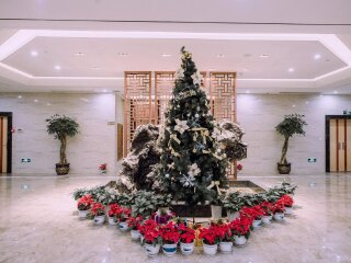 杭州烏鎮(zhèn)旅游要多少錢2021_杭州烏鎮(zhèn)游價(jià)格_杭州烏鎮(zhèn)游特價(jià)團(tuán)
