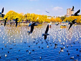 云南大理麗江九月旅游_2021年云南大理麗江旅游團報價_云南大理麗江旅游費用