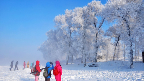 林海雪原猜成语_林海雪原图片(2)