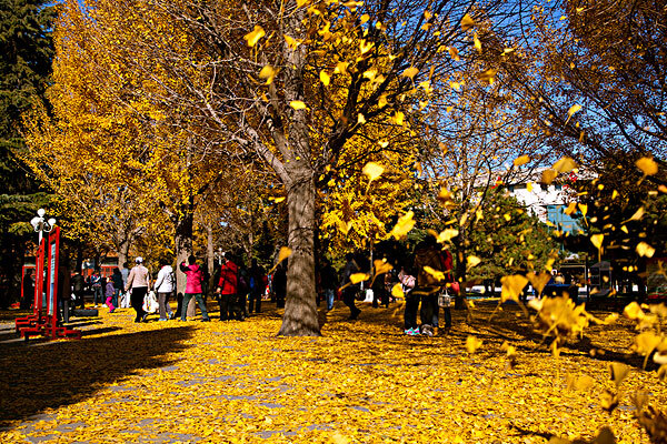 七月去中山穿衣指南_七月去中山穿什么衣服_