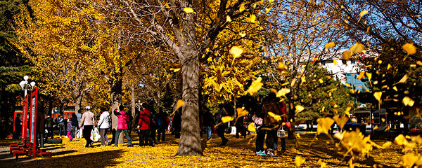 七月去中山穿衣指南_七月去中山穿什么衣服_