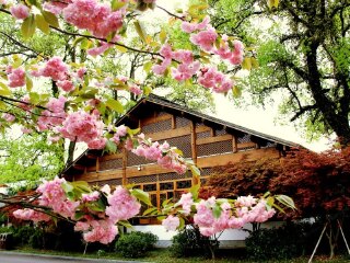 江西廬山報團(tuán)多少錢_去江西廬山游怎么省錢_江西廬山游組團(tuán)