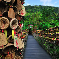 呀诺达 景点模块