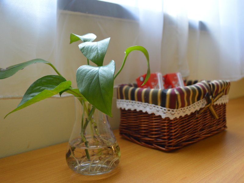 hotelPic