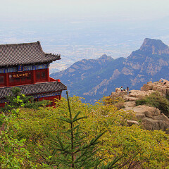 景点模块 