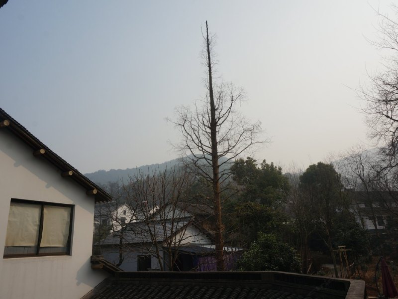 酒店大堂