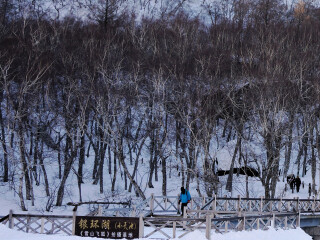 哈爾濱旅游團(tuán)報價自由行_哈爾濱旅游費(fèi)用多少_8月哈爾濱旅游