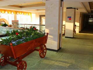新疆国际旅行_新疆跟团旅行报价_新疆包团游