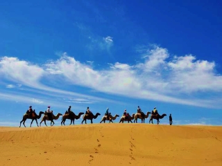 去内蒙古的旅行_内蒙古旅行社_内蒙古旅游价格表