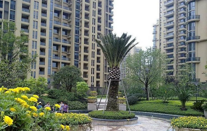 肥肥鱼新阳光公寓（杭州和平广场店）