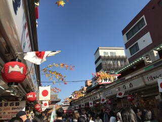 日本10日游多少钱_日本旅游游轮_日本旅游路线