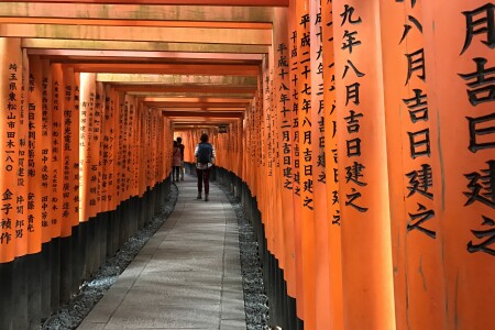 <京都祇园+花见小路+锦市场+伏见稻荷神社+奈良公园+东大寺一日游>2人成团，大阪酒店接送，中日双语司导，和服体验（当地参团）