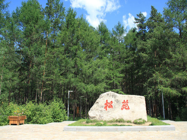 1983年由黑龙江省原省长陈雷题定,命名为松苑原始森林公园.