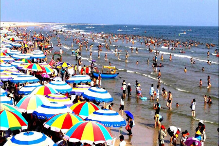 <下龙湾天堂岛-河内-北海5晚6日游>境外2G流量卡，含签证，龙虾餐，莲花自助餐，全程四星酒店，畅游越南北越风情，专享北海海景房（当地参团）