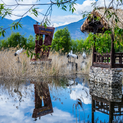 景点模块 