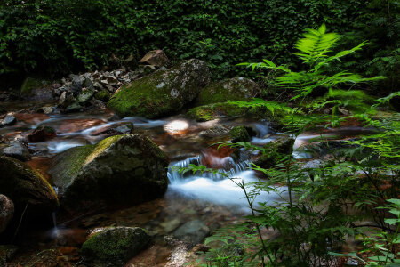 <本溪-绿石谷1日游>沈阳起止,山峦俊秀,沟幽谷深,清流潺潺 <本溪-绿石谷1日游>沈阳起止,山峦俊秀,沟幽谷深,清流潺潺