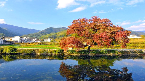  宏村-西递-卢村木雕楼2日游>门票全含,住四星含早,可