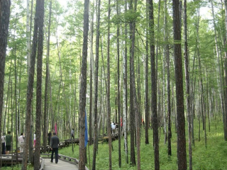 呼倫貝爾游 旅行團_呼倫貝爾最適合旅游的季節(jié)_呼倫貝爾游價格