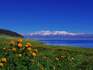 游新疆_去新疆旅游_新疆旅游高端