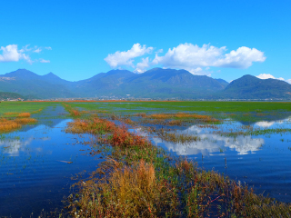 云南大理麗江游跟團(tuán)_云南大理麗江組團(tuán)旅游_云南大理麗江報(bào)團(tuán)旅游多少錢