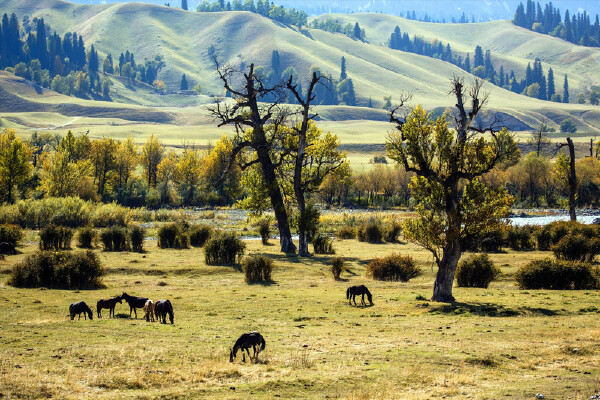 2月去新疆穿什么_新疆2月天气温度气温_新疆