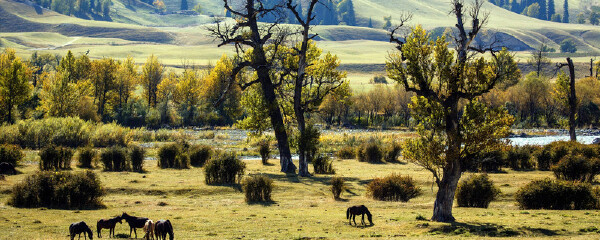2月去新疆穿什么_新疆2月天气温度气温_新疆