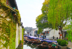 景点模块 