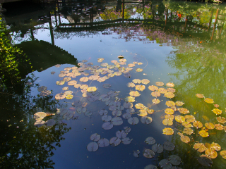 旅游去華東_到華東旅游報(bào)團(tuán)價(jià)格_華東旅行團(tuán)自由行